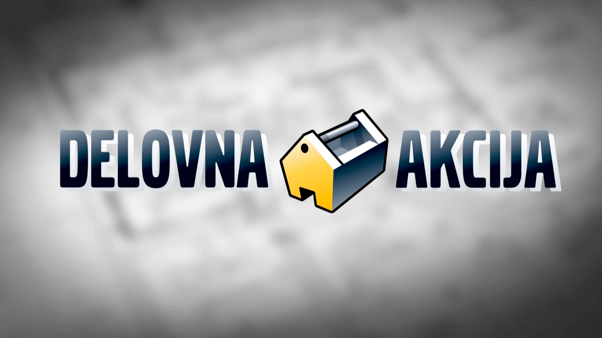 Delovna Akcija 2019